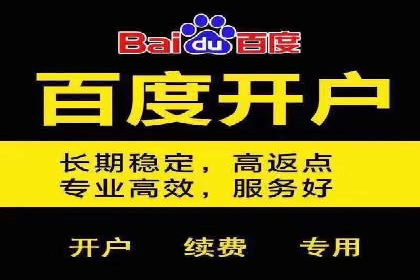 百度竞价推广公司案例：低成本高效益营销策略